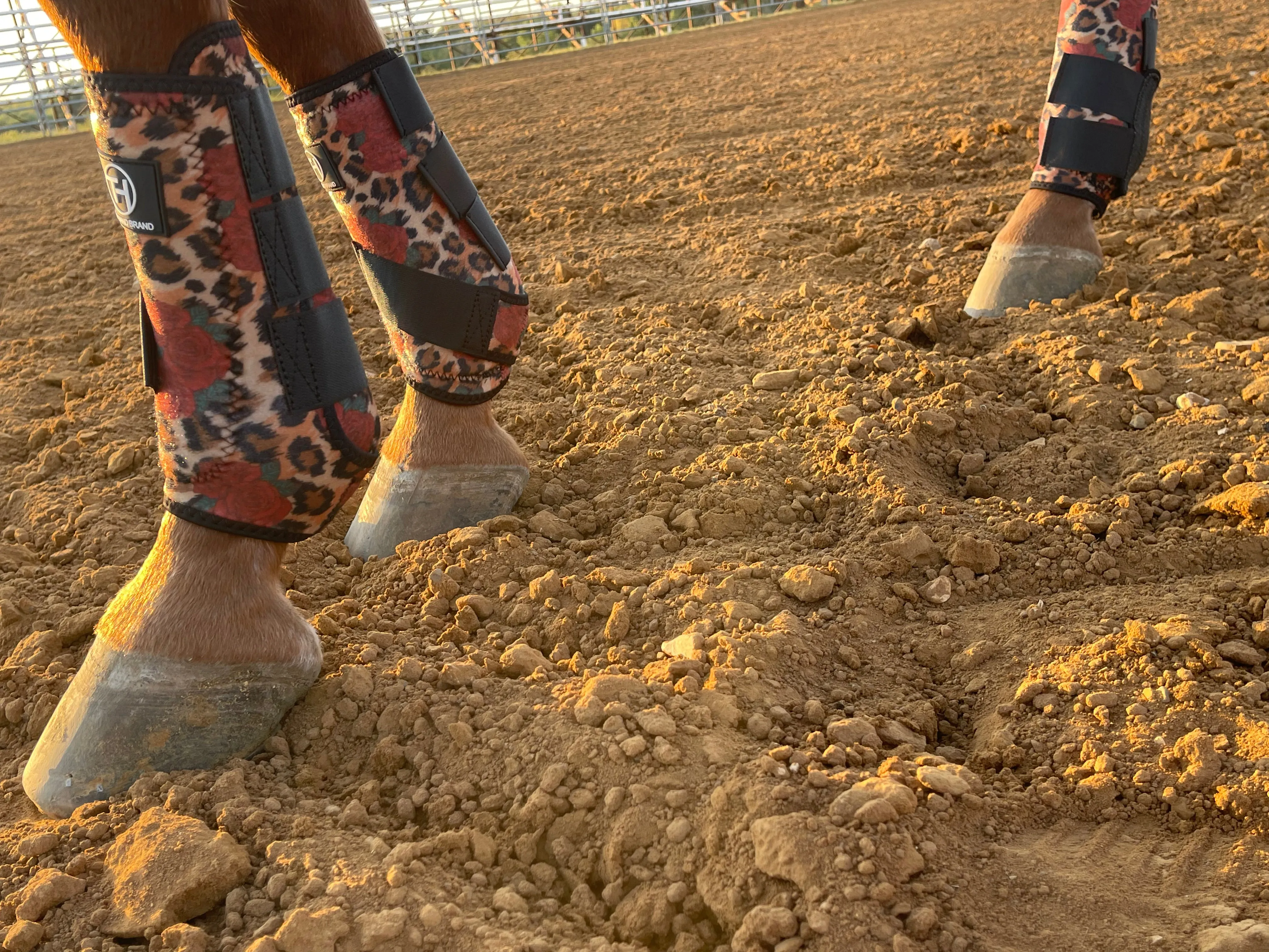 Cheetah and Roses Sport Boots