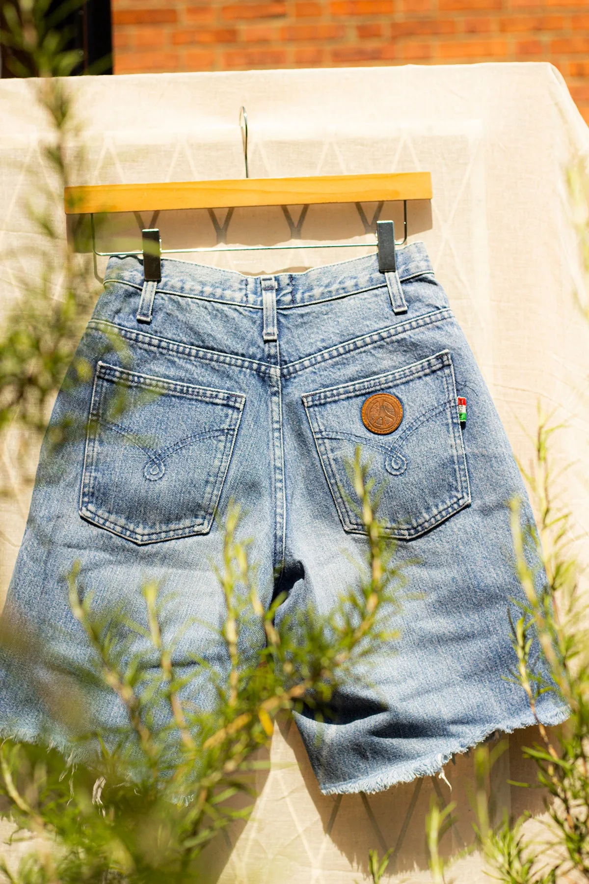 Molly Shorts