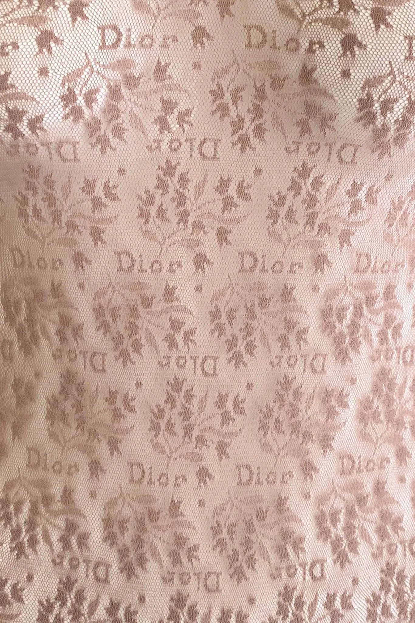 Sheer Lace Logo Bodysuit